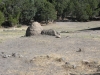 DSCN0902