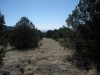 DSCN0906