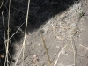 DSCN0907