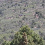 DSCN0910