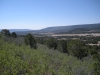 DSCN0911