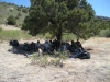 DSCN0914