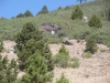 DSCN0916