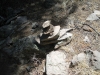 DSCN0919