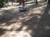 DSCN0926