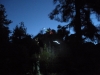 DSCN0939