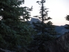 DSCN0945