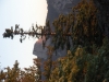 DSCN0950