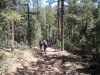 DSCN0957