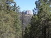 DSCN0959