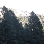 DSCN0964