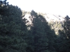DSCN0965