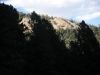 DSCN0966