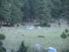 DSCN0967