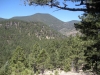 DSCN0976