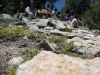 DSCN0984