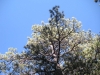 DSCN0992