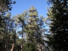 DSCN0993