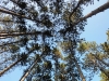 campsite7