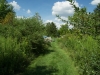 DSC06668