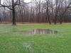 WP_000056