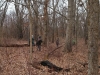 IMG_20130112_121436_466