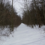 DSC04828