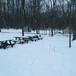 Mar2013Tippe008