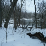 Mar2013Tippe027