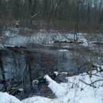 Mar2013Tippe031