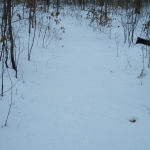 Mar2013Tippe034