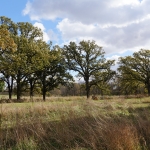 DSC01175