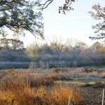 DSC01264