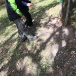 IMG_3341