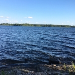 IMG_1981