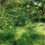 20180728_092046