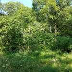 20180728_092057