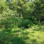 20180728_092058