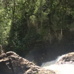 20180621_193314686_iOS