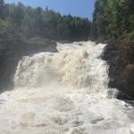 20180621_195254095_iOS