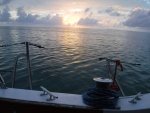 DSCF0552