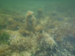 DSCF0574