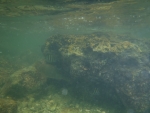 DSCF0576