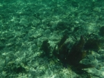DSCF0609