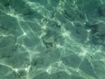 DSCF0610
