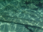 DSCF0612