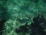 DSCF0614