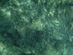 DSCF0615