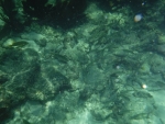 DSCF0616