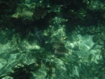 DSCF0618